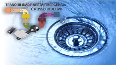 Coluna